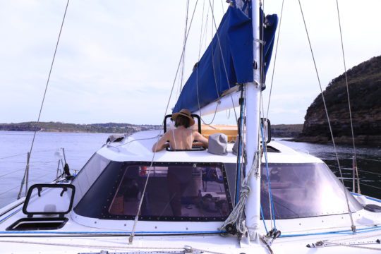 catamaran cruises sydney harbour